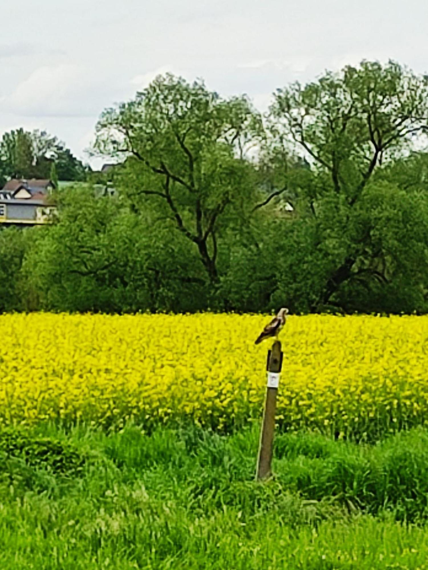 An Der Lahn Apartment